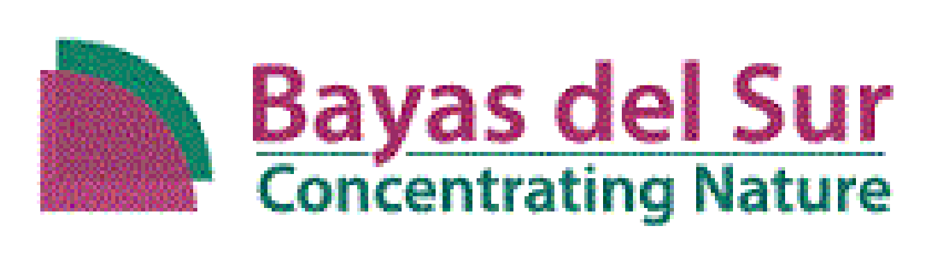 gallery/logo bayas del sur
